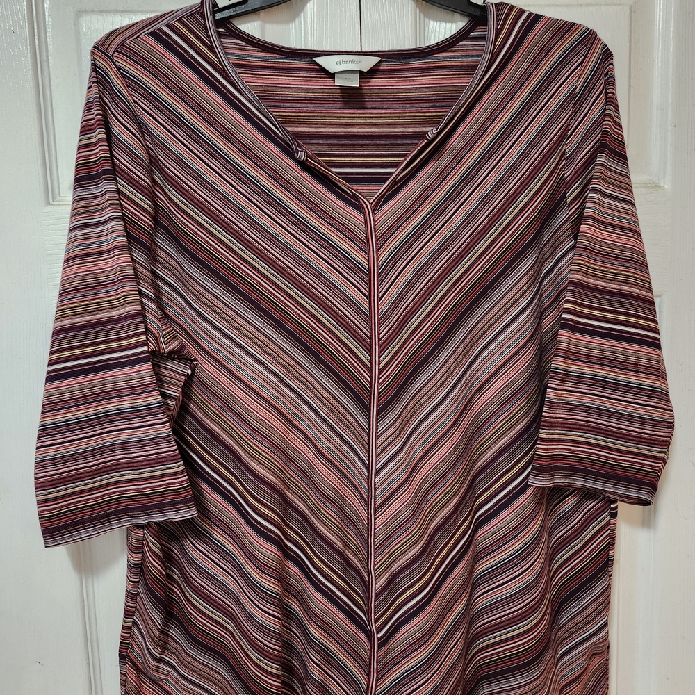 CJ Banks Women's V-Neck Striped Tunic - Multicolor